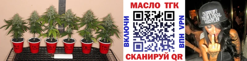 где найти Бугуруслан Дистиллят ТГК гашишное масло