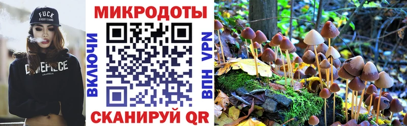 Псилоцибиновые грибы MAGIC MUSHROOMS  blacksprut сайт  Бугуруслан 